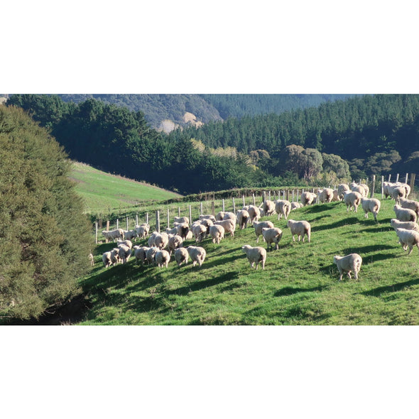 Sheep grazing in an lush green field surrounded by mountains on a sunny day.
